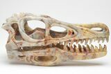 Carved Crazy Lace Agate Dinosaur Skull #208832-1